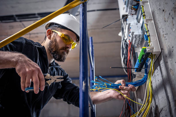 Best Electrical System Inspection  in Laguna Heights, TX