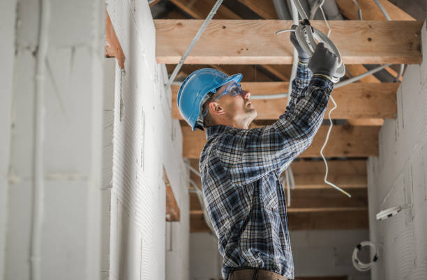 Best Home Electrical Repair  in Laguna Heights, TX