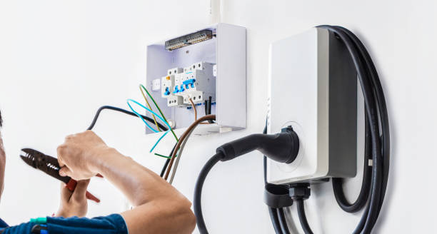 Best Local Electrician Companies  in Laguna Heights, TX